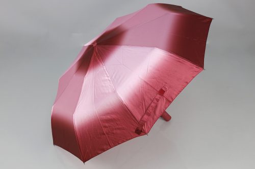 Зонт DINIYA