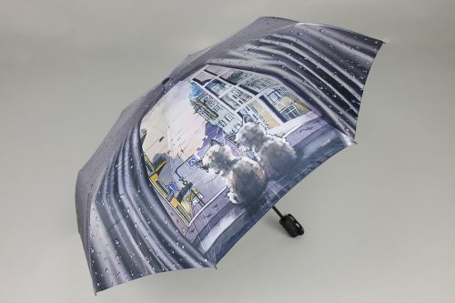Зонт DINIYA